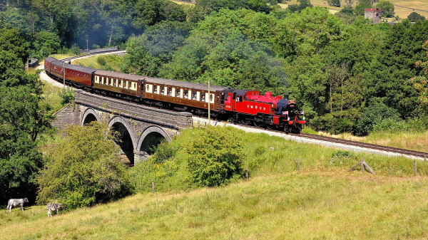 'Celebrating 50 Years Reopening Special' by David Mogg, Mawdesley Villages u3a